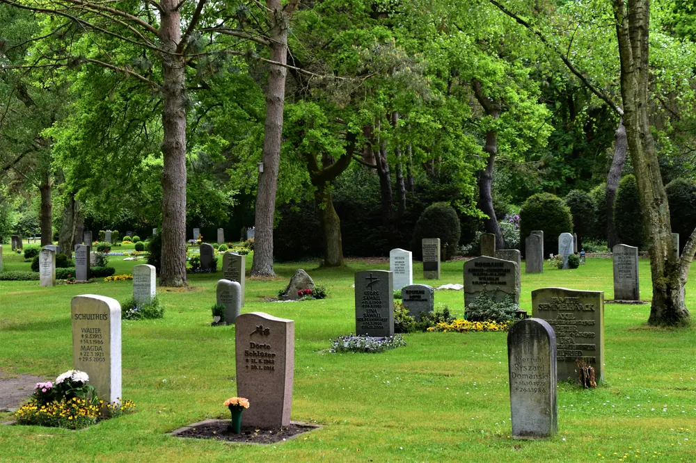 Cimetière arboré et pierres tombales
